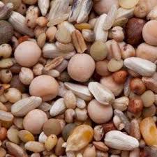 Pigeon Feed Mix